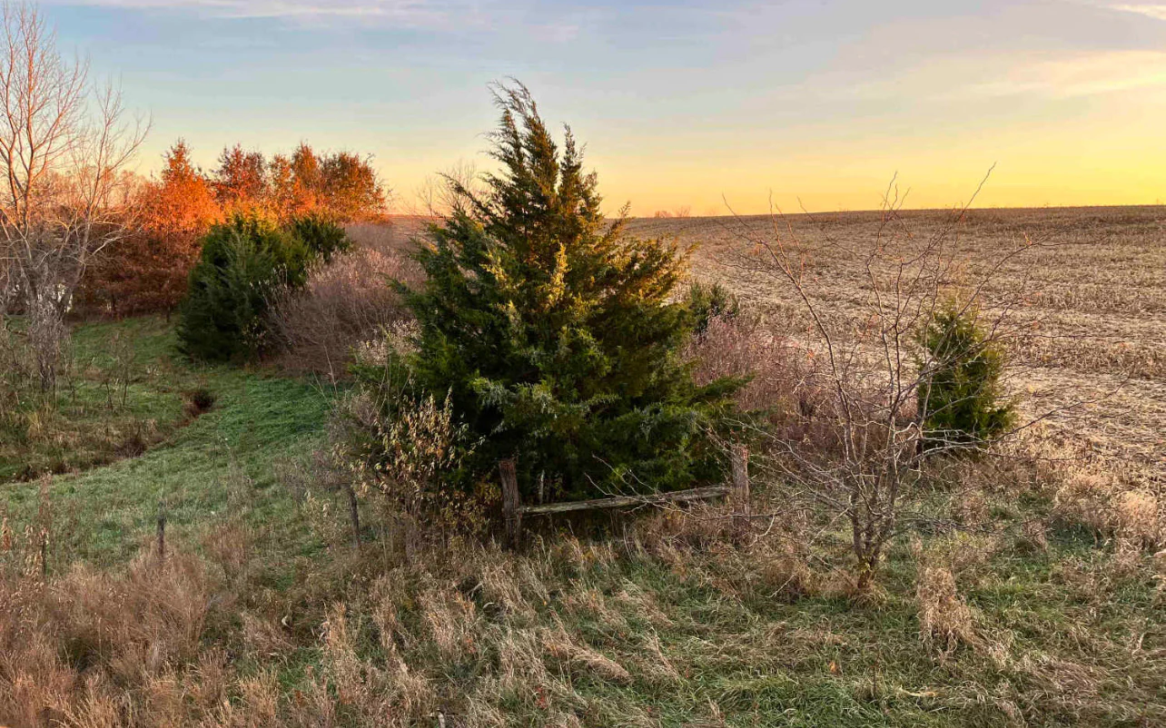 OUTDOORSMAN Properties
